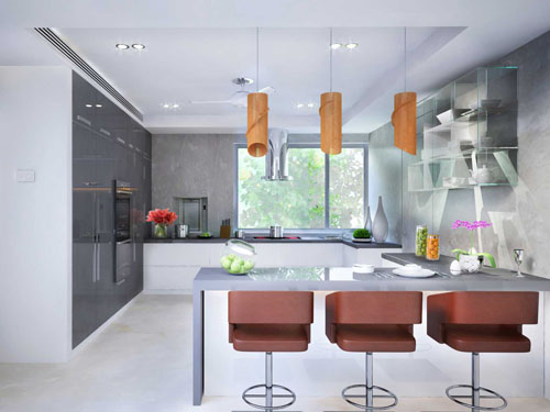 Bhaskhar Reddy's House