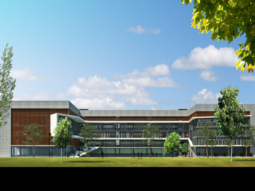 SPARKLING STAR CYGNUS