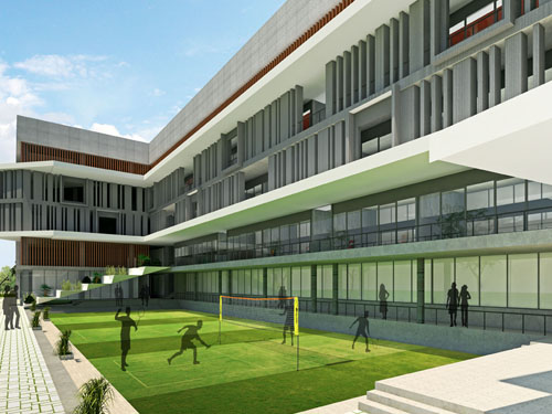 SPARKLING STAR CYGNUS