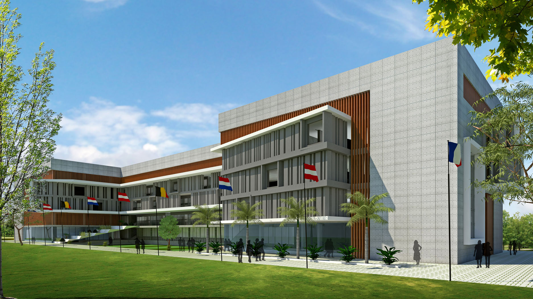 SPARKLING STAR CYGNUS 